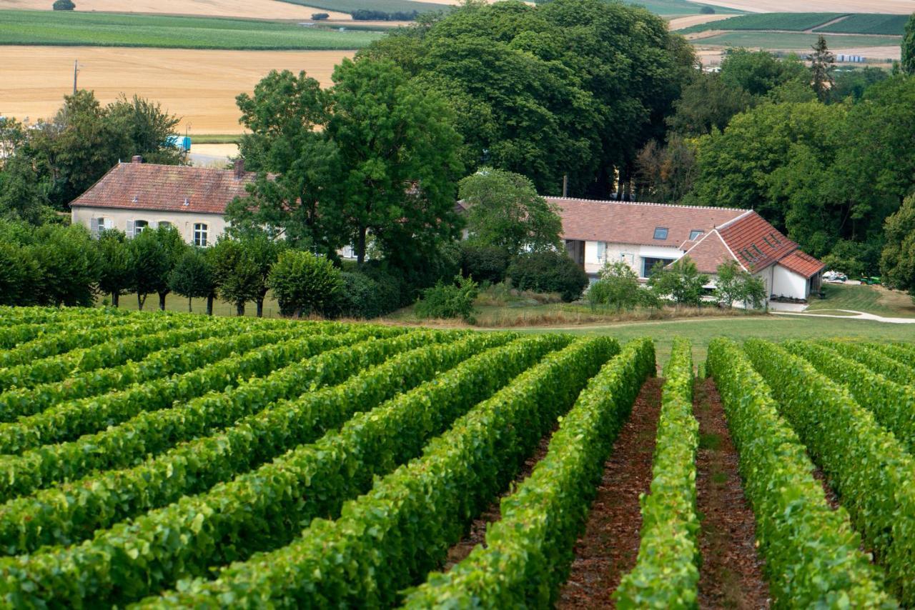 L' Ecrin Des Vignes Panzió Sermiers Kültér fotó